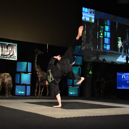 Sport Karate Form Mats - Infinity National Championships Tyler Shaub 