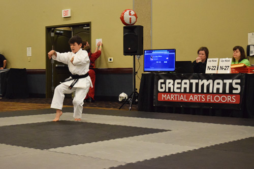 Martial Arts Form Ring Mats -Infinity National Championships