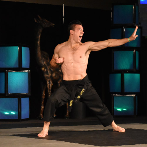 Martial Arts Contemporary Forms Mats - Tim Wegert Infinity National Championships