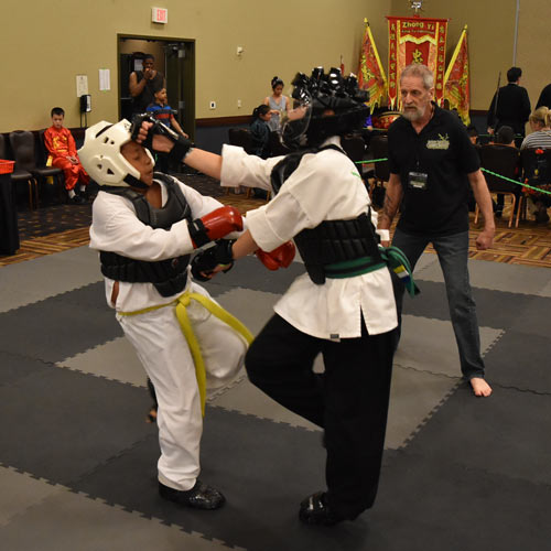 Martial Arts Mats for Sport Karate Sparring