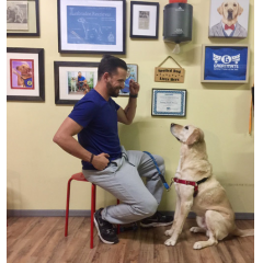 2016 National Dog Trainer of the Year Jeremy Brown thumbnail