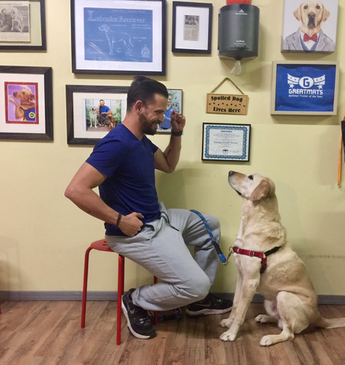 2016 National Dog Trainer of the Year Jeremy Brown