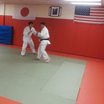 Judo Floors