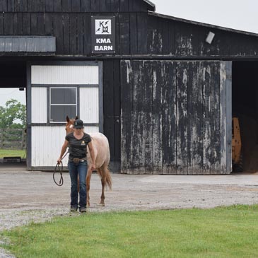 Kelly Murphy-Alley Curry Striking KMA Performance Horses Greatmats