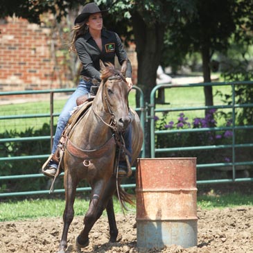 Kelly Murphy-Alley Barrel Racer