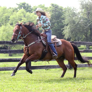 Kelly Murphy-Alley Curry Horse Trainer 2