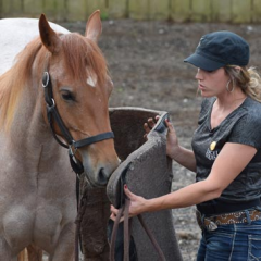 Saddling a barrel horse thumbnail