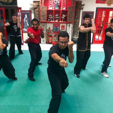 Kung Fu Training Mats