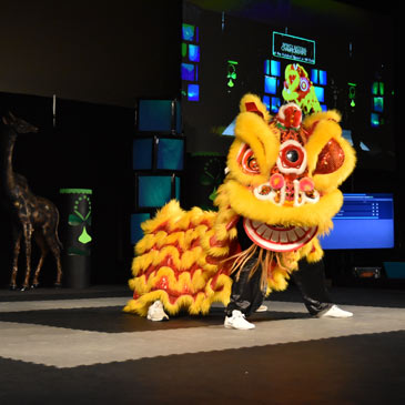 Chinese Kung Fu Dragon