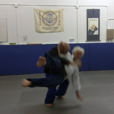 Kung Fu San Soo 5