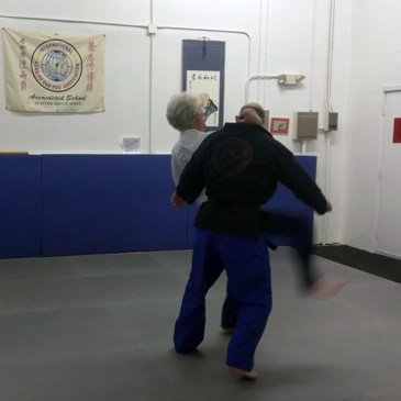 Kung Fu San Soo 6