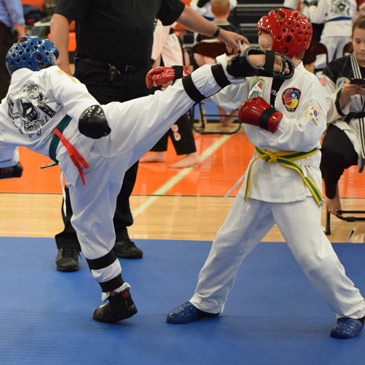 American Kyuki-Do Federation Youth Color Belt Sparring