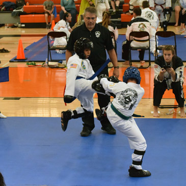 Sparring Tournament Mats