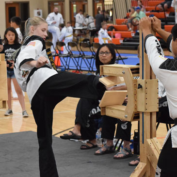 Tae Kwon Do Board Breaking matting
