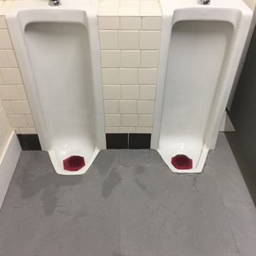 Best Flooring for Bathroom