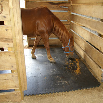 Lightweight Stable Mats Keep Horse Stalls Dry