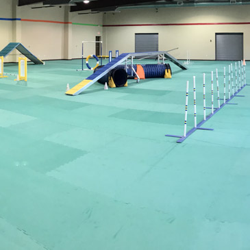 Lucky Dog Training Center Flooring