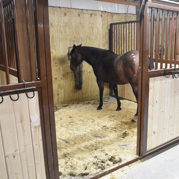 Base Mats used in Horse Stalls