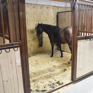 Horse Mats 10x10 Kit