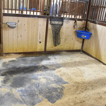 Equine Center Stable Uses Horse Stall Mats
