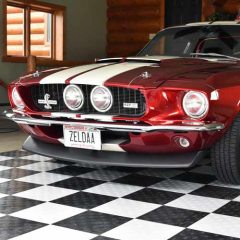 Mark Lund Mustang Zeldaa thumbnail