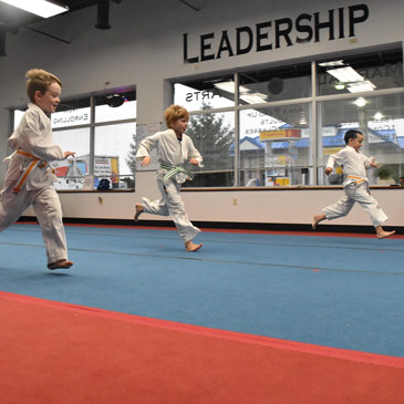 Best Martial Arts Mats With Carpet Top