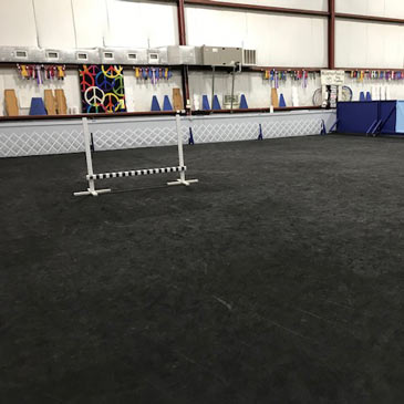 MasterPeace Dog Training Dog Agility Mats 2