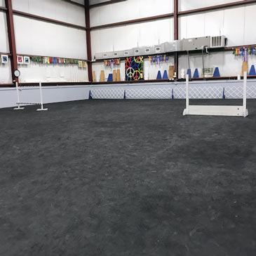 MasterPeace Dog Training Dog Agility Mats 3