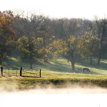 My Epiphany Paradise Farm property