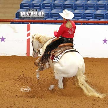 My Epiphany Paradise Farm Robin Broughton with anb silver dun it