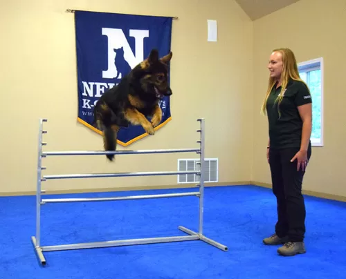 Neuman K-9 Academy in Hugo, Minnesota