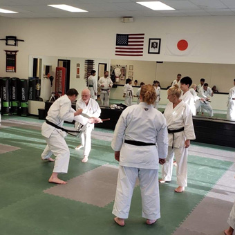 Interlocking Wado-Ryu Mats - New Visions Dojo Adult Class