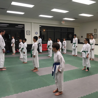 Wado Karate Jigsaw Mats - New Visions Dojo Attention