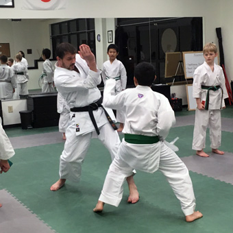Wado-Ryu Jigsaw Mats - New Visions Dojo Owner Ryan Guillemet