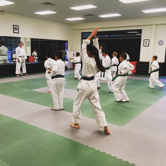 Jigsaw Wado Karate Mats - New Visions Dojo Karate Training