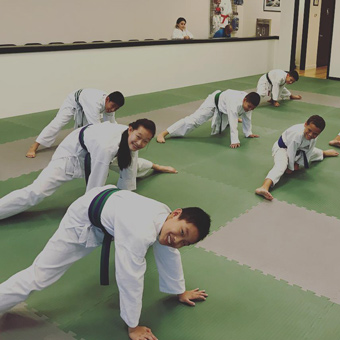 Wado-Ryu Puzzle Mats - New Visions Dojo Kids