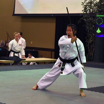 Karate Ring Mats - Noell Jellison Bo Staff