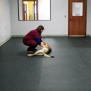 non slip rubber matting for dogs