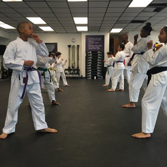 martial arts mats retailer in Missouri