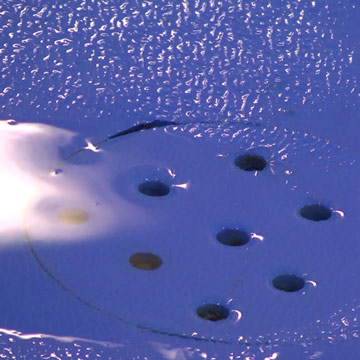 Pool Deck Draining