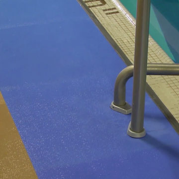 Pool Deck Ladder