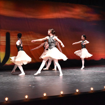 Large or Small Dance Stage Auditorium Vinyl Flooring