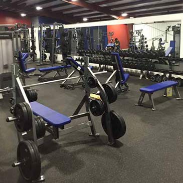Commercial Gym Mats