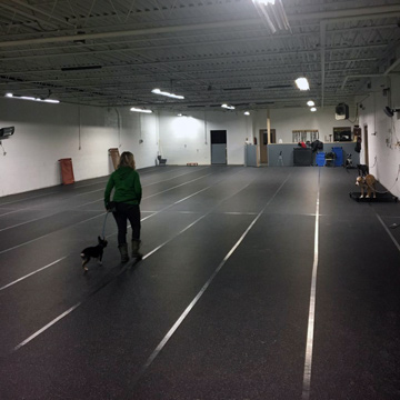 rubber dog flooring warehouse