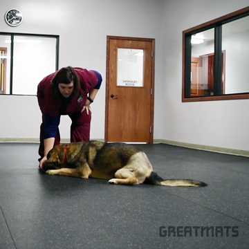 Is Rubber Flooring Good For Dog Daycare