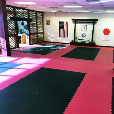 Krav Maga Mats at Shen Dragon Karate Dojo