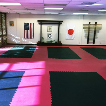 Sport Karate Mats at Shen Dragon Karate Dojo