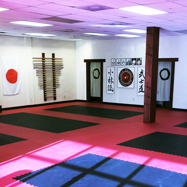 Shorin Ryu Karate Mats at Shen Dragon Karate Dojo