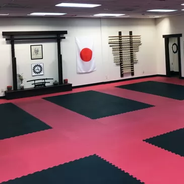 Heavy Duty Judo Floor Mat Landing Aikido Karate Jujitsu Equipment MMA 4x10x2 
