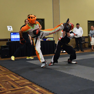 fighting mats cheap